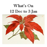 What's On 12 Dec to 3 Jan