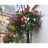 Blooming Lovely Help for Harrogate Town Centre Businesses
