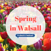 Spring in Walsall