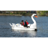 Swans Return to Walsall Arboretum 