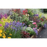 Garden on a Roll Borders: a great idea for your garden in Welwyn Hatfield this summer