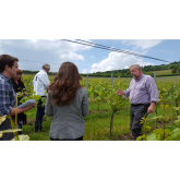 England's first local wine tours in the Surrey Hills