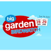 Are you taking part in the Big Garden Bird Watch?