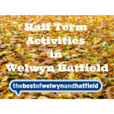 October Half Term Activities in Welwyn Hatfield