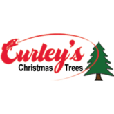 Christmas Trees at Curley's 2017