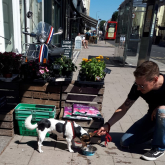 Dog-friendly Brighton and Hove