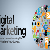 Business Marketing Reviews on Digital Marketing Courses