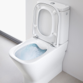 Flushed with Success - Rimless Toilets