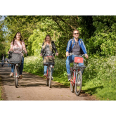 Bike & Go Hosts Free Clean Air Day Wellbeing Event This June
