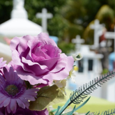 Your Step-by-Step Guide to Registering a Death and Planning a Funeral in the UK