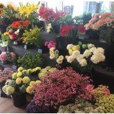New Quality Florist opens in Taunton