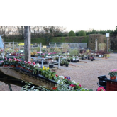 Rainbow Gardening acquires Farm Lane Nursery in Ashtead 