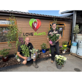 Love Plants returns to Shrewsbury Flower Show with shop and show garden