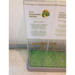 Do you shop at Waitrose? Donate to Bromley Mencap this month!