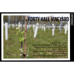 London’s Forty Hall Vineyard releases its first wines to the public