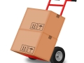 hand truck for removals