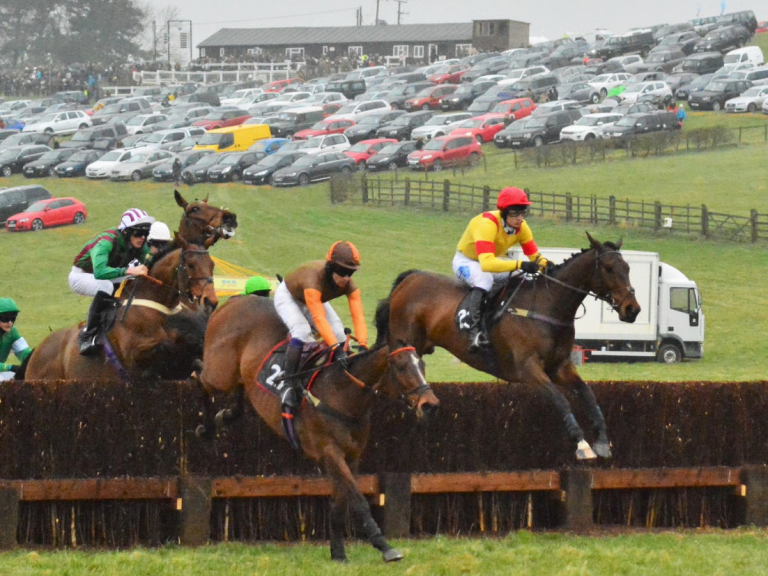 Dingley Racecouse Point to Point