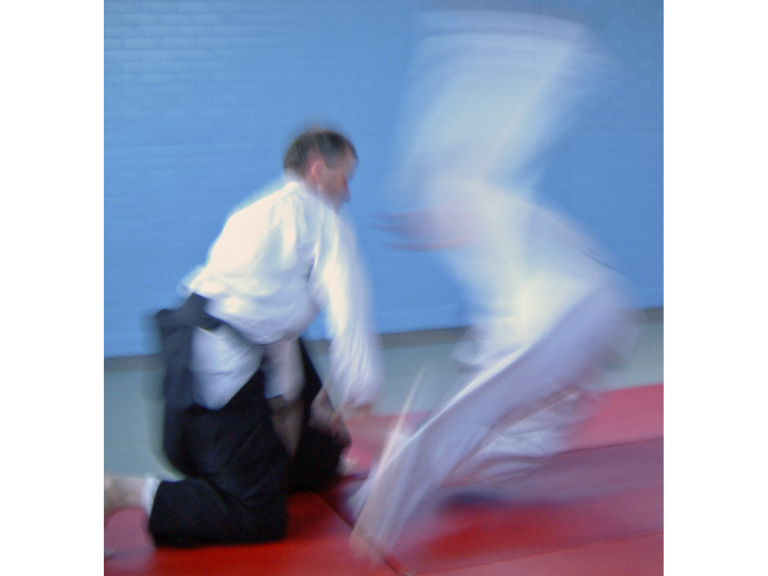White Oak Aikido Reading