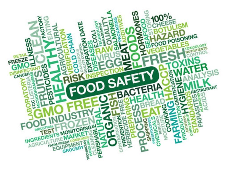 Food Safety in Catering Level 2  (with Level 1 Award in Employability Skills)