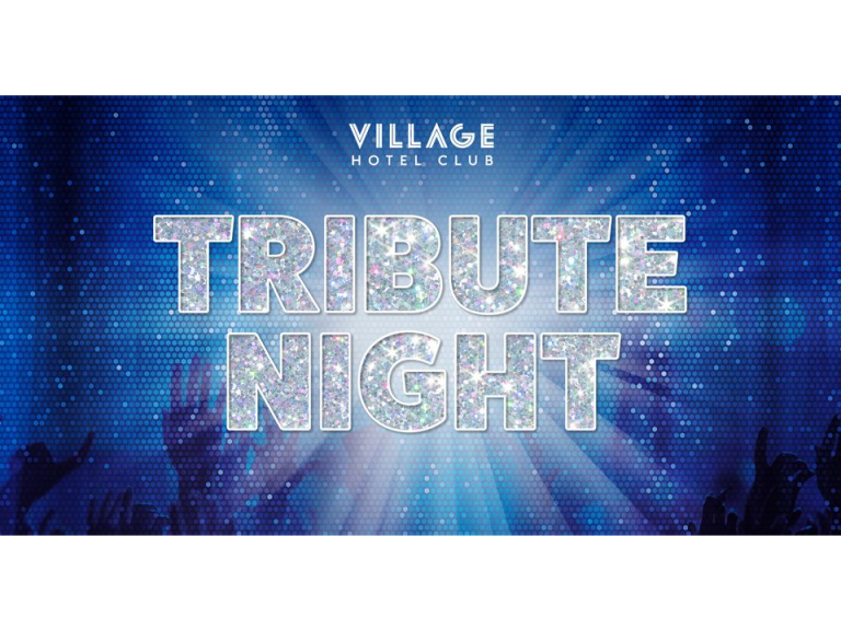 ABBA Duo Live Tribute Show Party Night at Village Bury