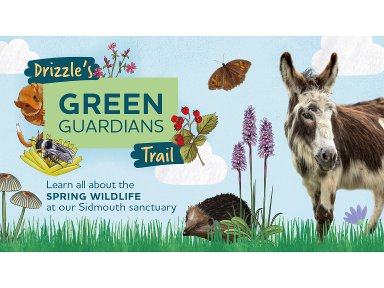 Drizzle's Green Guardians Trail – Spring Hunt