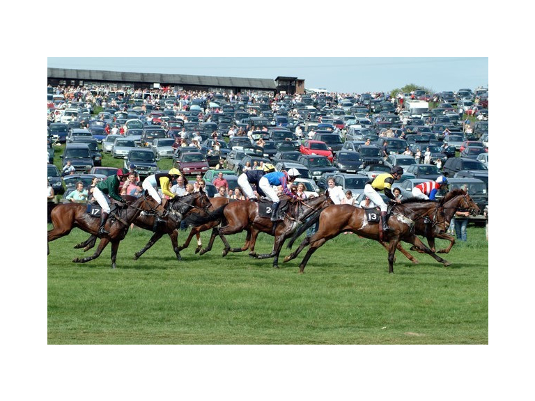 Dingley Races - This Bank Holiday Weekend