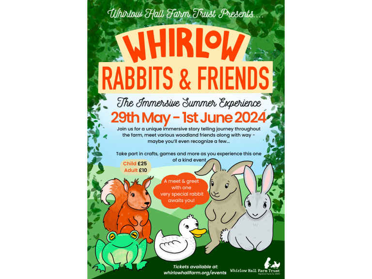 Whirlow Rabbits & Friends : The Immersive Summer Experience