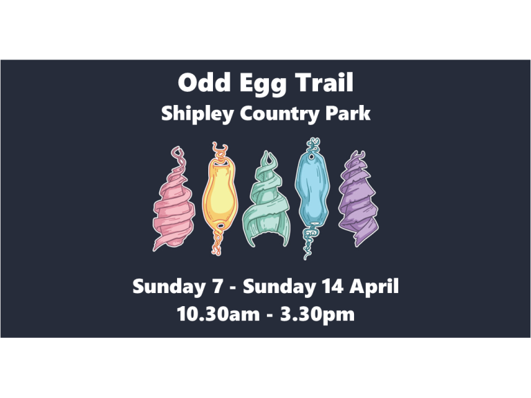 Odd Egg Trail