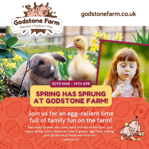 Spring has Sprung at Godstone Farm @GodstoneFarmUK