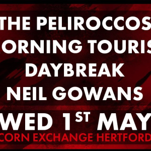 The Peliroccos / Morning Tourist / Daybreak / Neil Gowans & The Winos