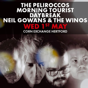 The Peliroccos / Morning Tourist / Daybreak / Neil Gowans & The Winos