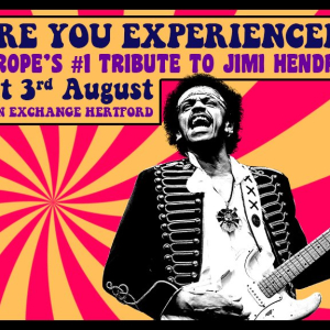 Are You Experienced? 