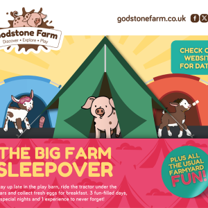 The Big Farm Sleepover at Godstone Farm @GodstoneFarm