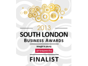 South London Business Awards 2013 Finalist