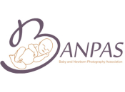 The Baby and Newborn Photography Association