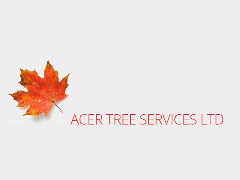 Acer Tree Services Ltd