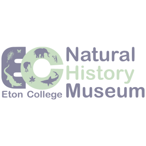 Eton Natural History Museum, Windsor