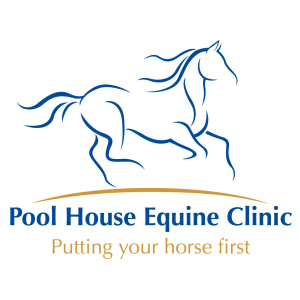 pool, house, equine, clinic, logo