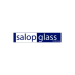 salop glass shrewsbury