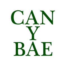 Can-y-Bae Hotel
