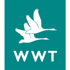 London Wetland Centre