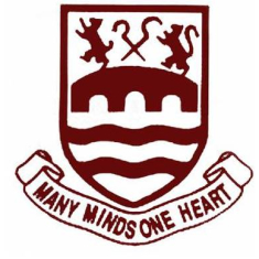 Chelmsford City Fc