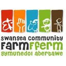 Swansea Community Farm