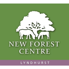 New Forest Centre