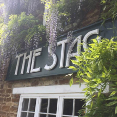 The Stag