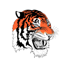 Tiger Flooring Ltd