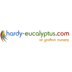 Grafton Nursery