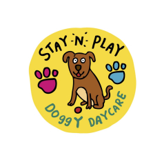 Stay N Play Doggy Daycare