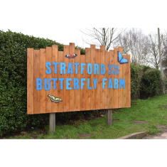 Stratford Butterfly Farm