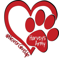Harvey's Army